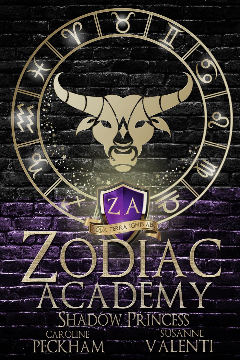 Shadow Princess | Zodiac Academy #4