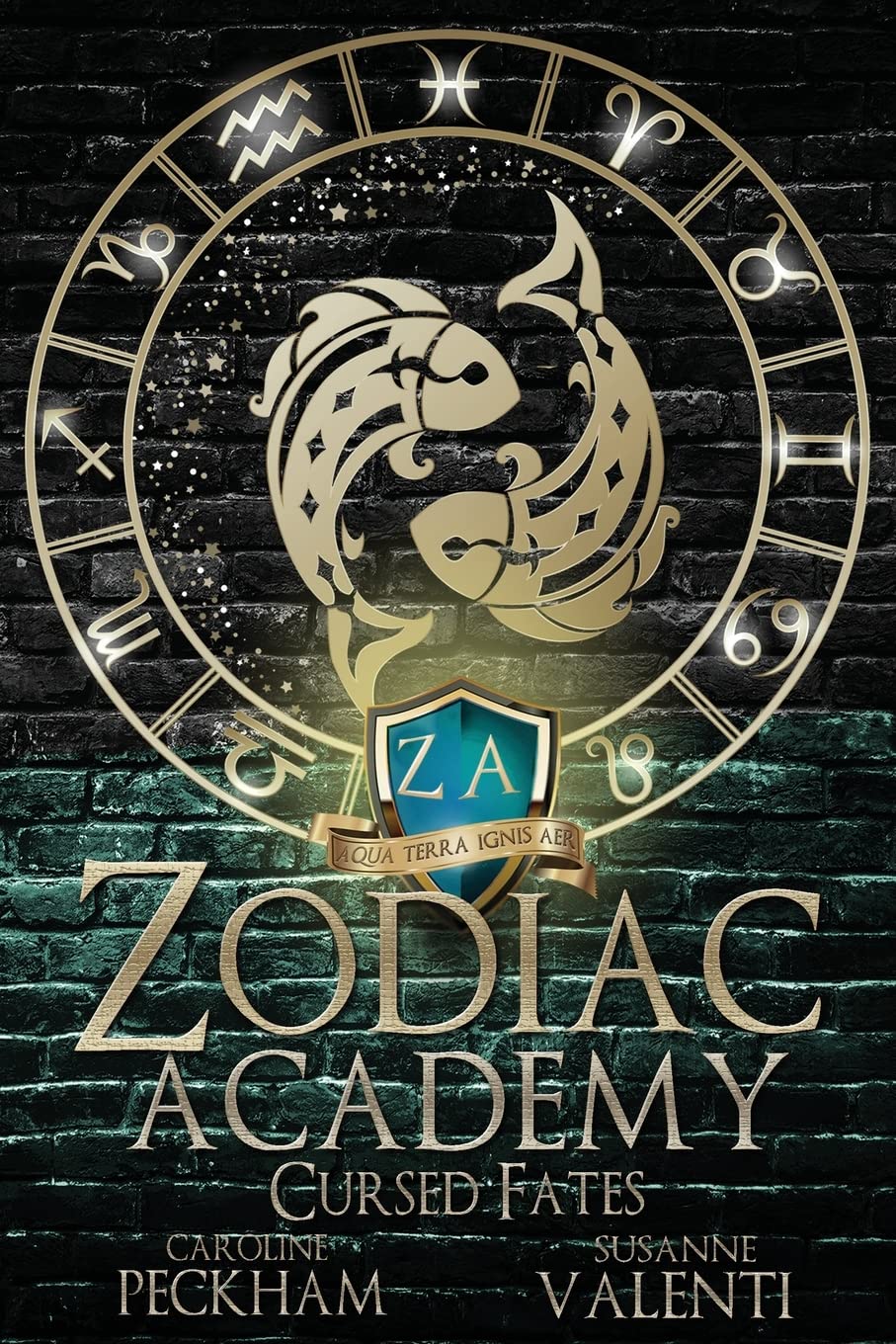 Zodiac Academy | Complete series bundle