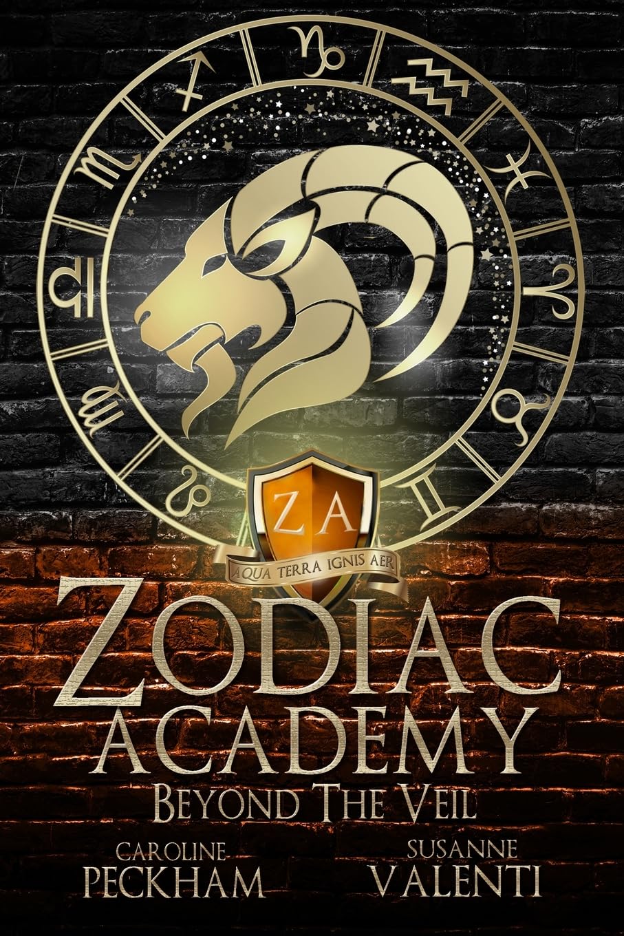 Zodiac Academy | Complete series bundle