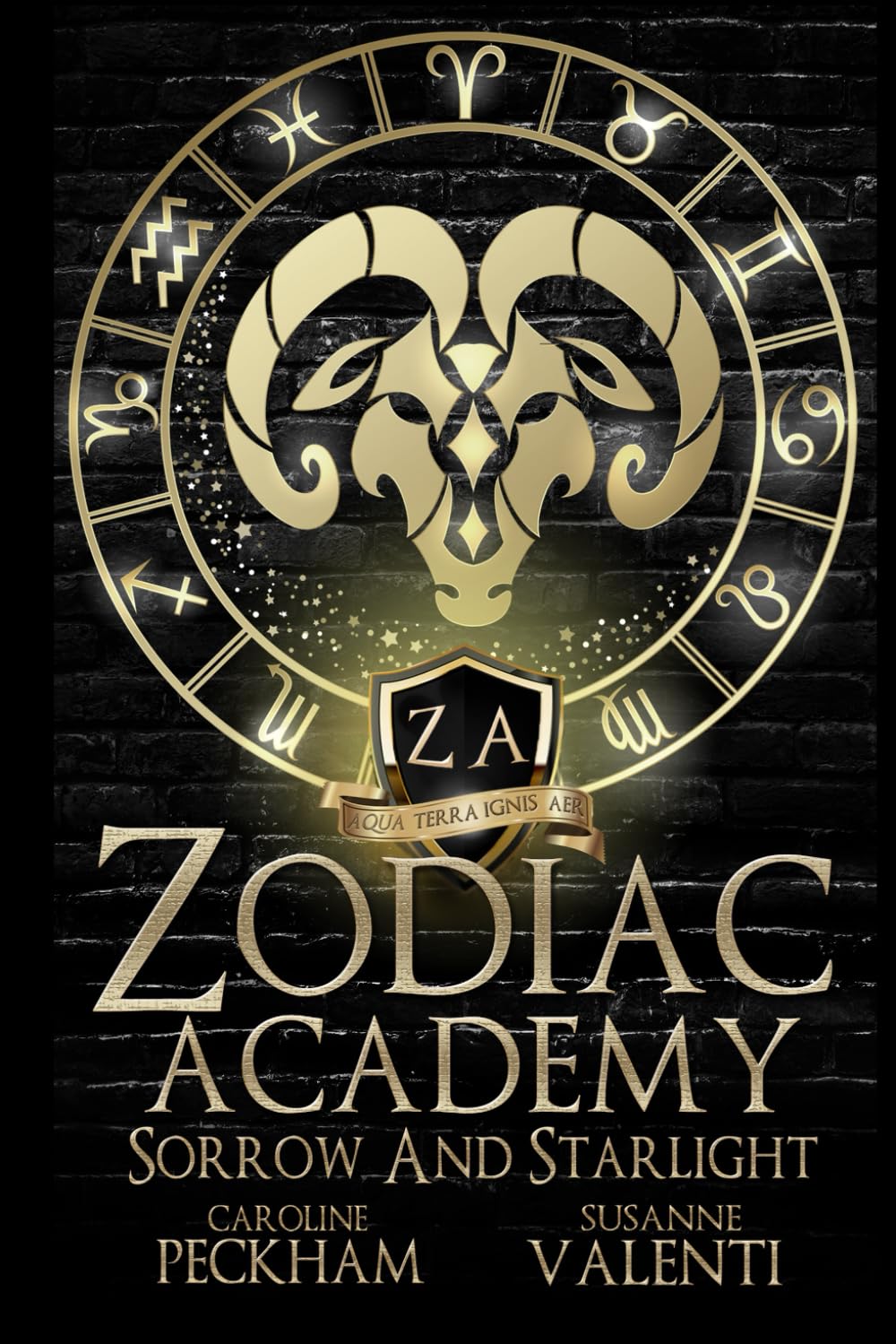 Zodiac Academy | Complete series bundle